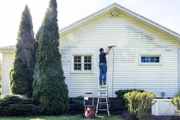 Best Rust Removal  in Clarksville, VA